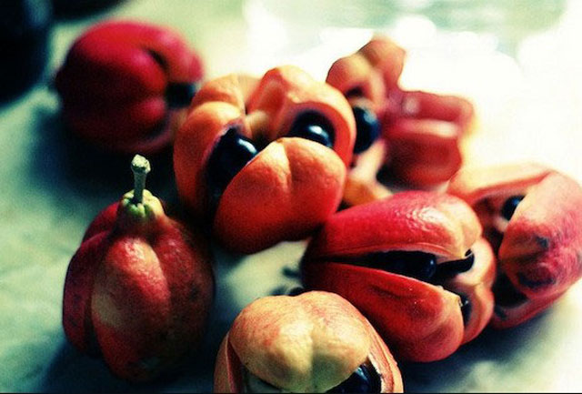 Những loại trái cây ngon nhất thế giới