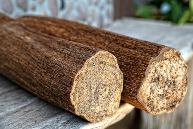 loại gỗ quý nhất thế giới