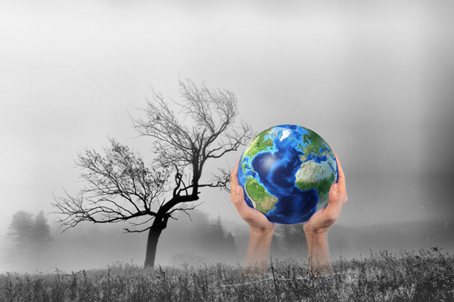 biến đổi khí hậu toàn cầu là gì