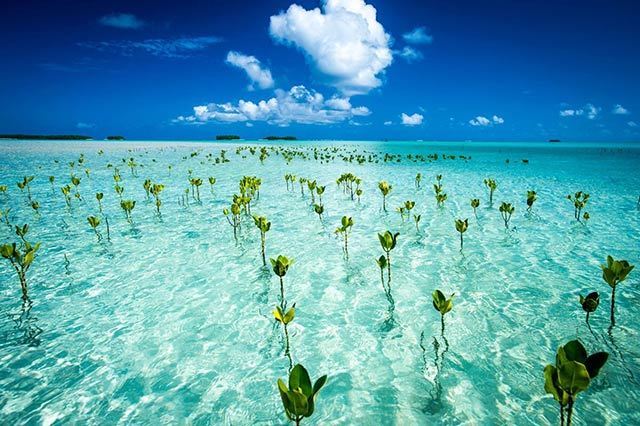 Tuvalu nổi tiếng với du lịch biển