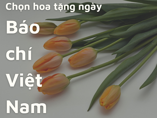 hình ảnh ngày Báo chí cách mạng Việt Nam