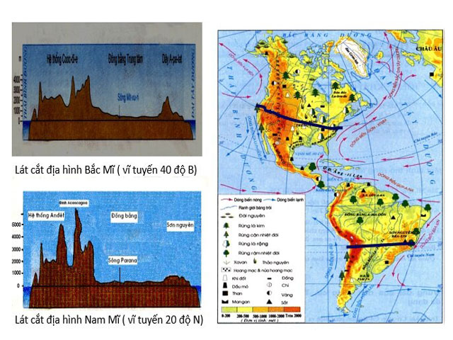 Phân tích và so sánh đặc điểm địa hình Nam Mĩ với đặc điểm địa hình Bắc Mĩ
