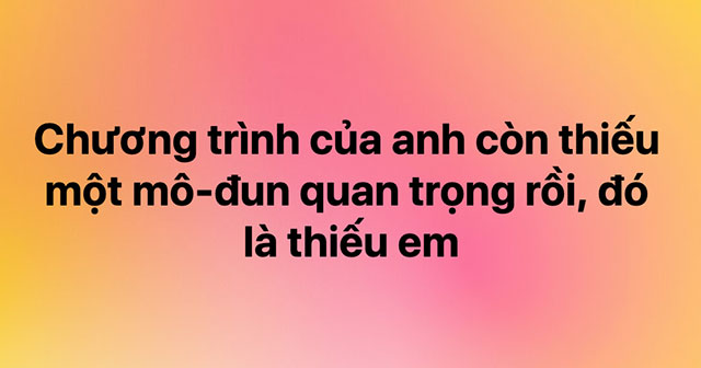 thả thính kiểu dân IT