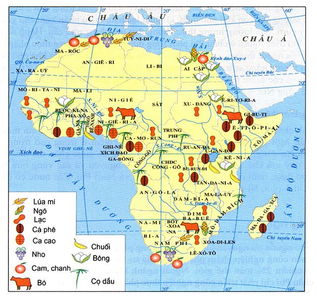 Châu Phi trồng những loại cây nào