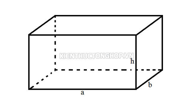 hình hộp chữ nhật là gì