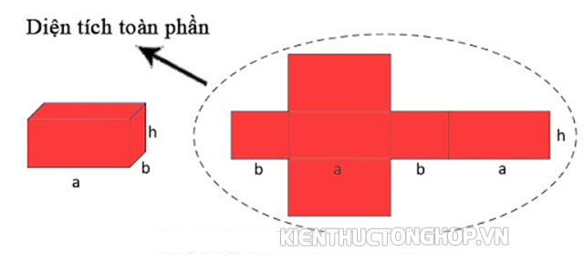 hình hộp chữ nhật là gì