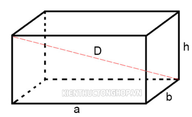 hình hộp chữ nhật là gì