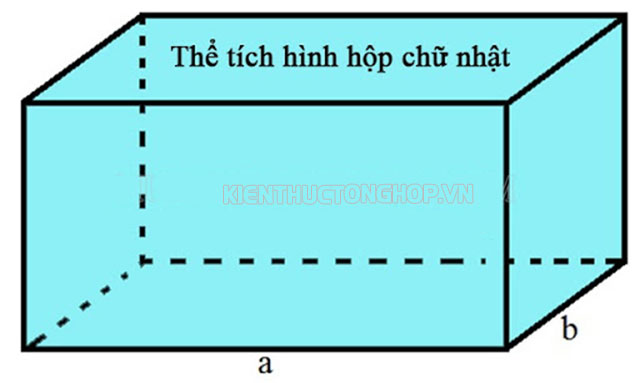 hình chiếu của hình hộp chữ nhật là gì