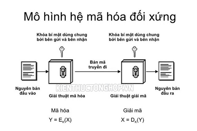 mã hóa thông tin là gì trắc nghiệm