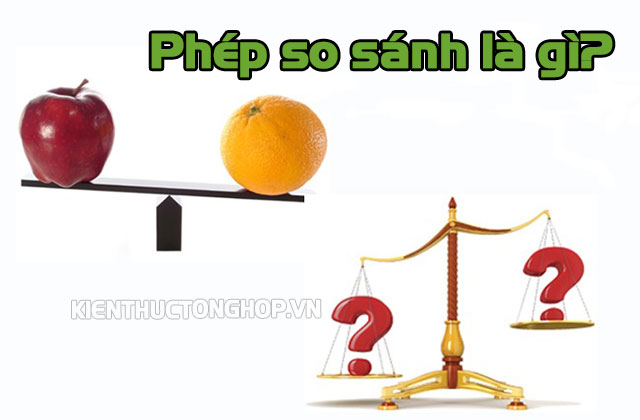 phép so sánh là gì