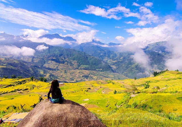 mùa lúa chín mù cang chải vào tháng mấy