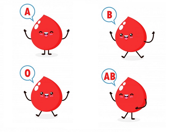 nhóm máu o nhận được nhóm máu nào