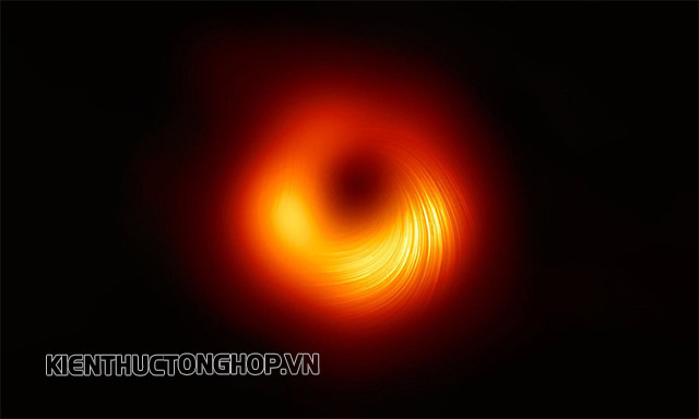hố đen vũ trụ là gì - Kiến Thức Tổng Hợp