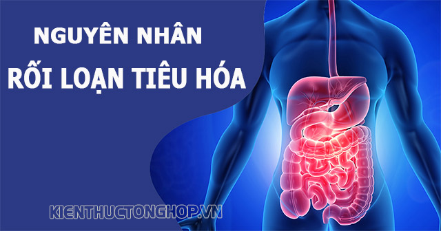 nguyên nhân rối loạn tiêu hóa là gì - Kiến Thức Tổng Hợp