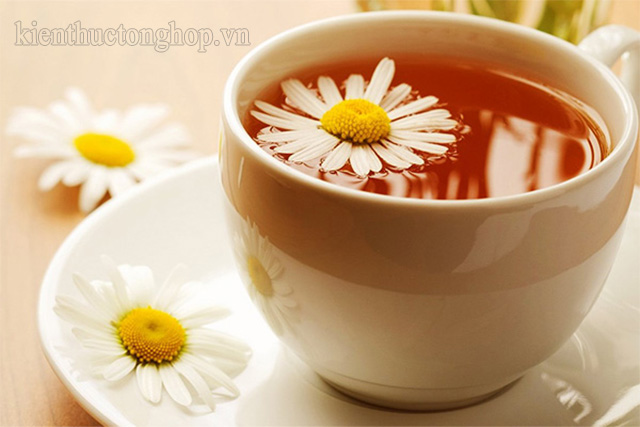 cách pha trà hoa cúc với cam thảo - Kiến Thức Tổng Hợp