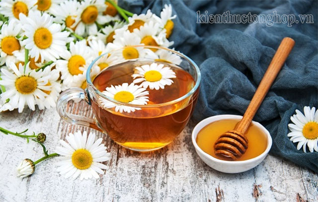 cách pha trà hoa cúc với mật ong - Kiến Thức Tổng Hợp