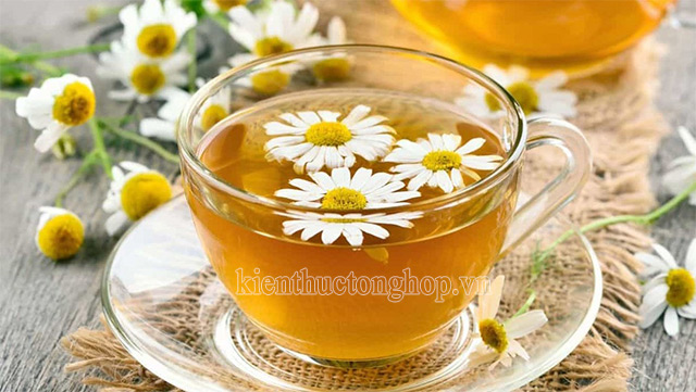 Trà hoa cúc là một loại trà được yêu thích trên thế giới
