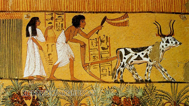 thời kỳ tân vương quốc Ai Cập cổ đại - Kiến Thức Tổng Hợp