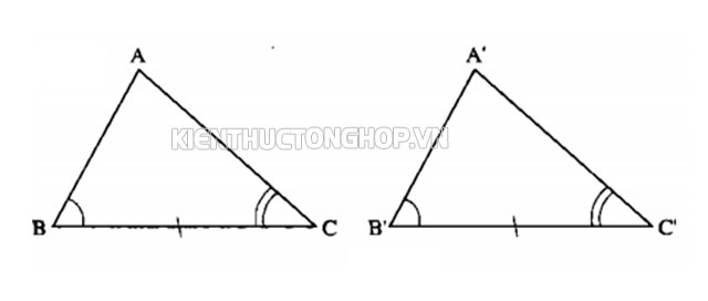 khái niệm hai tam giác đồng dạng - Kiến Thức Tổng Hợp