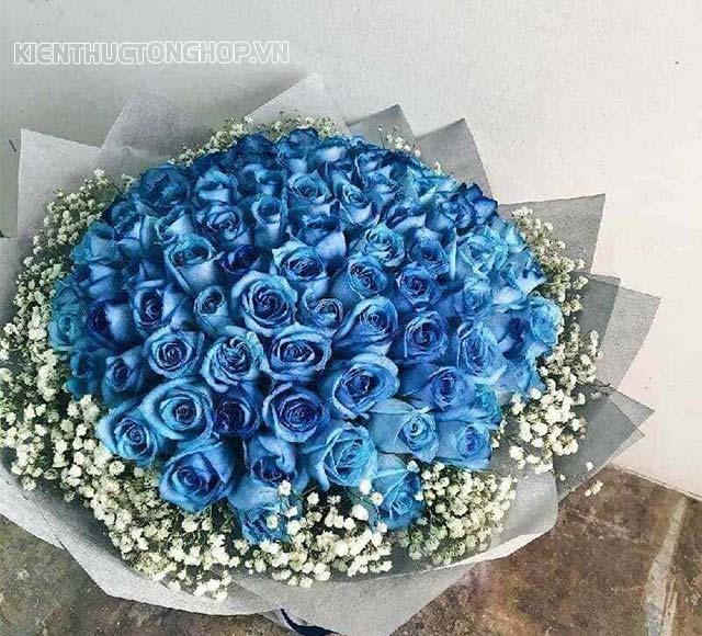 Bó hoa hồng xanh dương nhạt