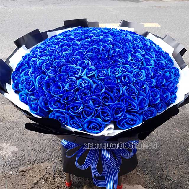 Bó hoa hồng xanh dương