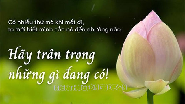 trân trọng cuộc sống là gì