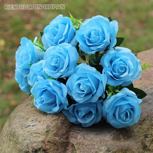 Hoa hồng xanh được coi là tượng trưng cho tình yêu vĩnh cửu