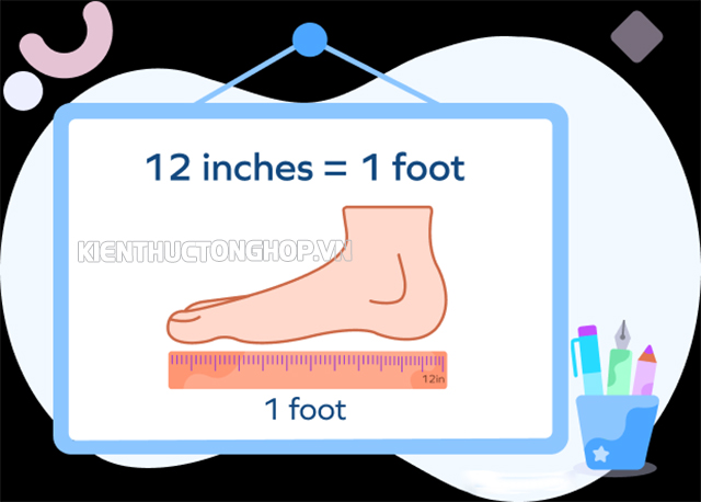 Nhiều giả thuyết cho rằng đơn vị feet liên quan đến kích cỡ chân của đàn ông trưởng thành