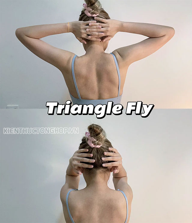Bài tập Triangle Fly