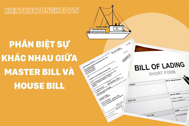 Có nhiều sự khác biệt giữa Master bill và House bill