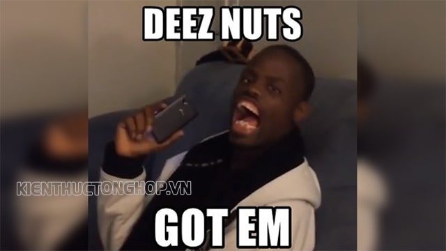 Deez nuts là gì?