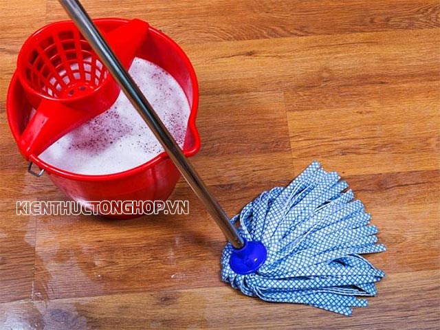Cây lau sàn sạch cũng giúp bạn hạn chế mùi tanh sau khi lau