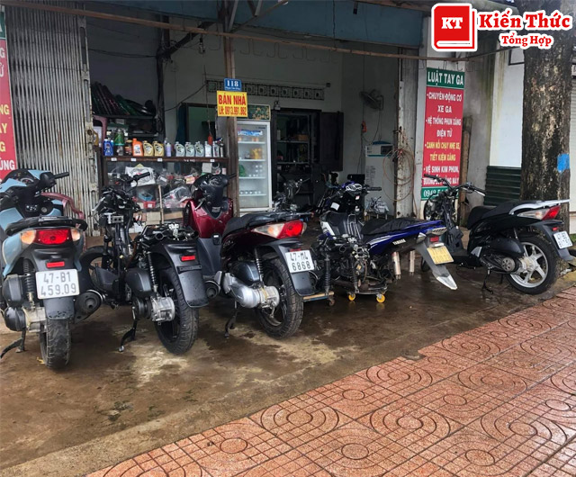 Luật tay ga