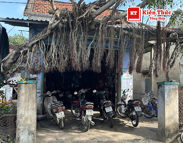 Tiệm sửa xe Cà Rờm