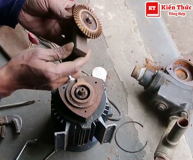 Điện cơ Đại Hữu