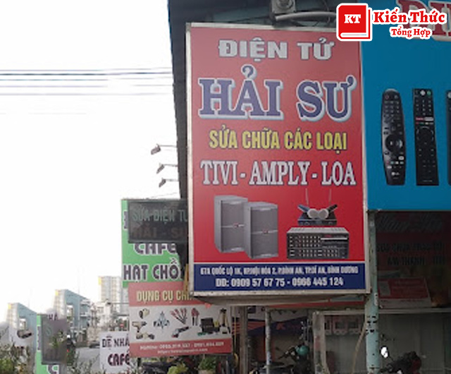 Điện tử Hải Sư 