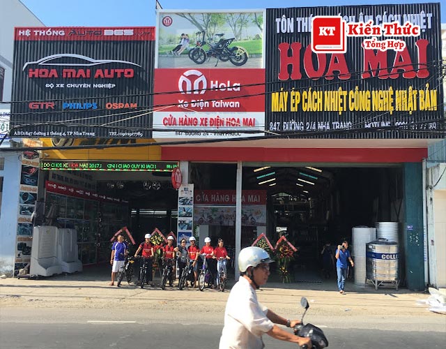Hoa Mai Auto