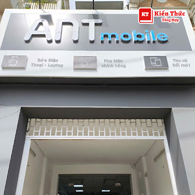 ANT Mobile