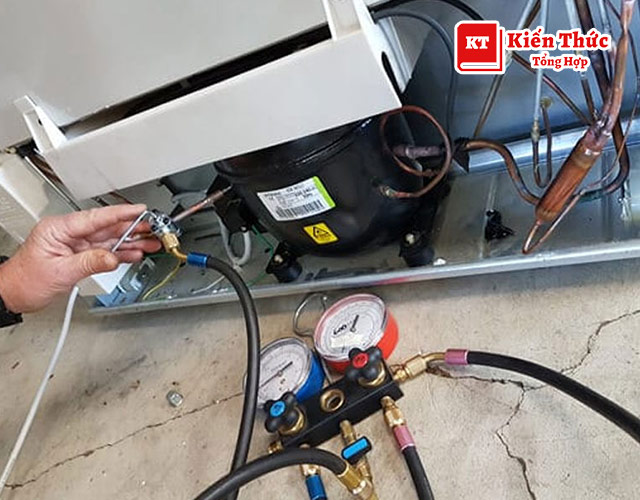 Điện lạnh Đức Ngọc 