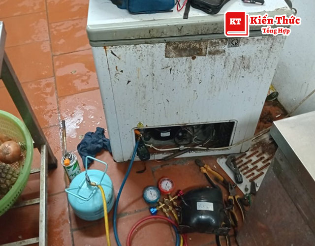 Điện lạnh Đức Trường