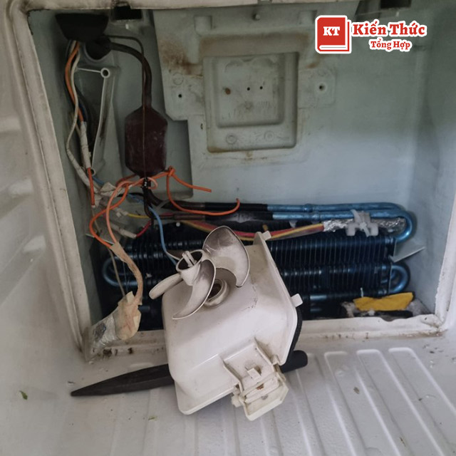 Điện lạnh Hoàng Phát