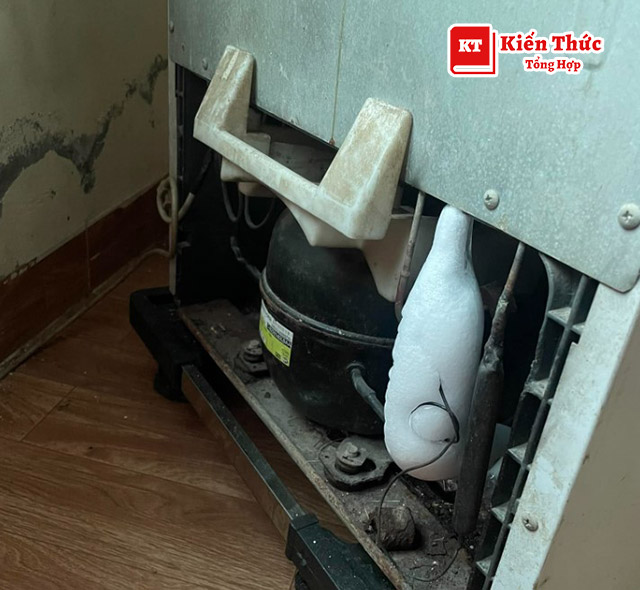 Điện lạnh Thịnh An