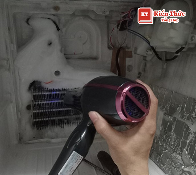 Sửa chữa điện lạnh Thanh Thỏa