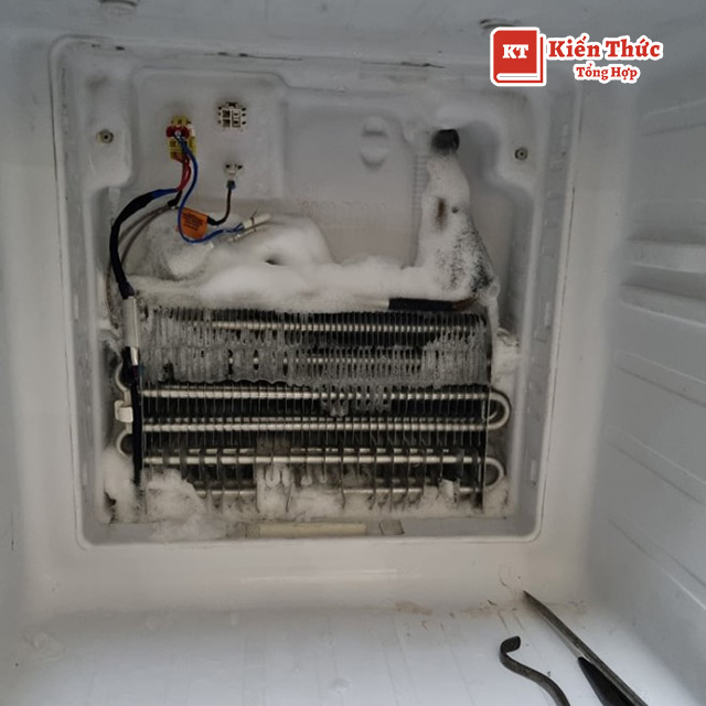 Sửa điện lạnh Yên Phụ