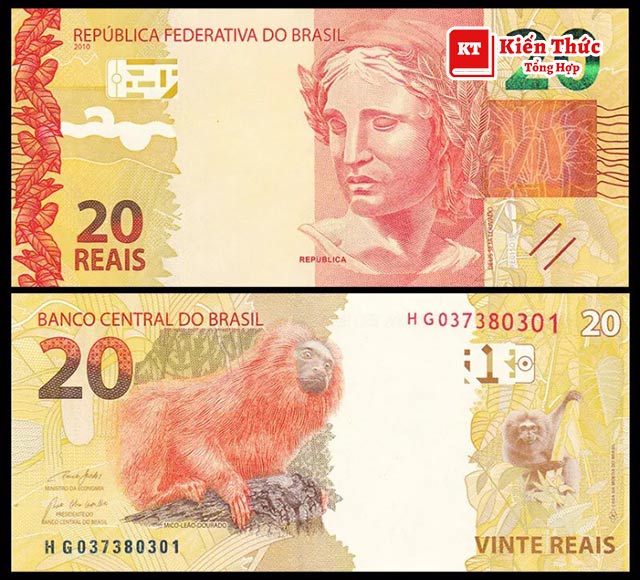 20 Real Brazil (BRL)