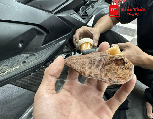 Xe Vision bị hư xăng do lhoong thay lọc xăng