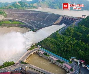 Amazing looks you might like